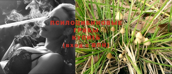 тгк Пестово