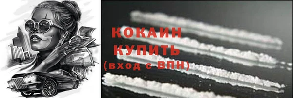 тгк Пестово