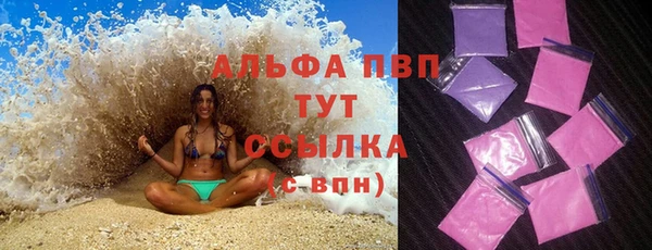 тгк Пестово