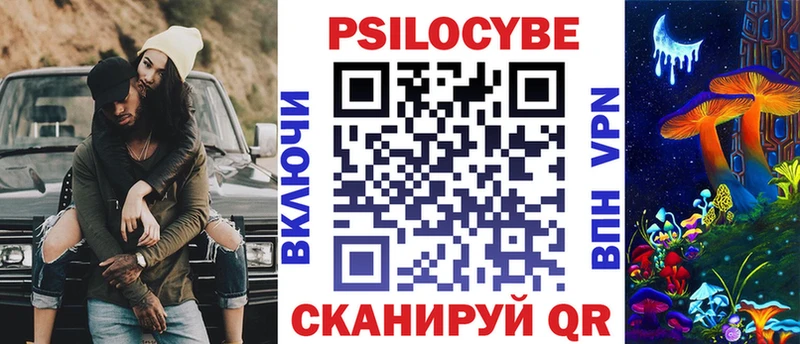 Галлюциногенные грибы Psilocybe  где купить   Североморск 
